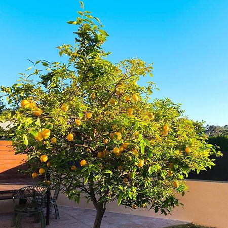 Adosado Con Jardin En Los Xalets De Salou Exterior photo