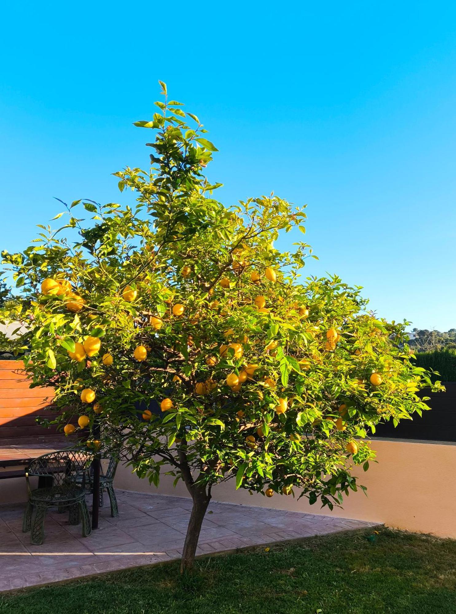 Adosado Con Jardin En Los Xalets De Salou Exterior photo